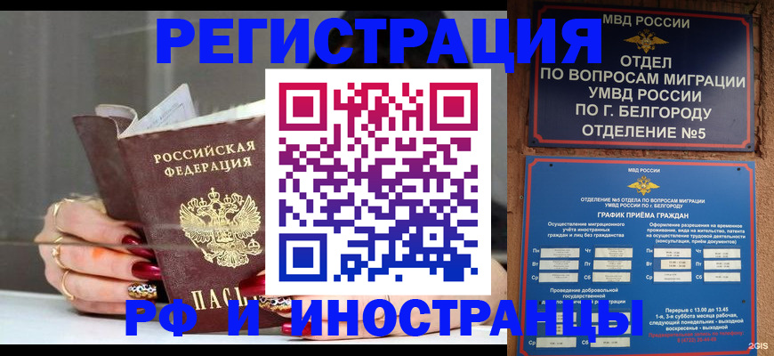 прописка в Щиграх